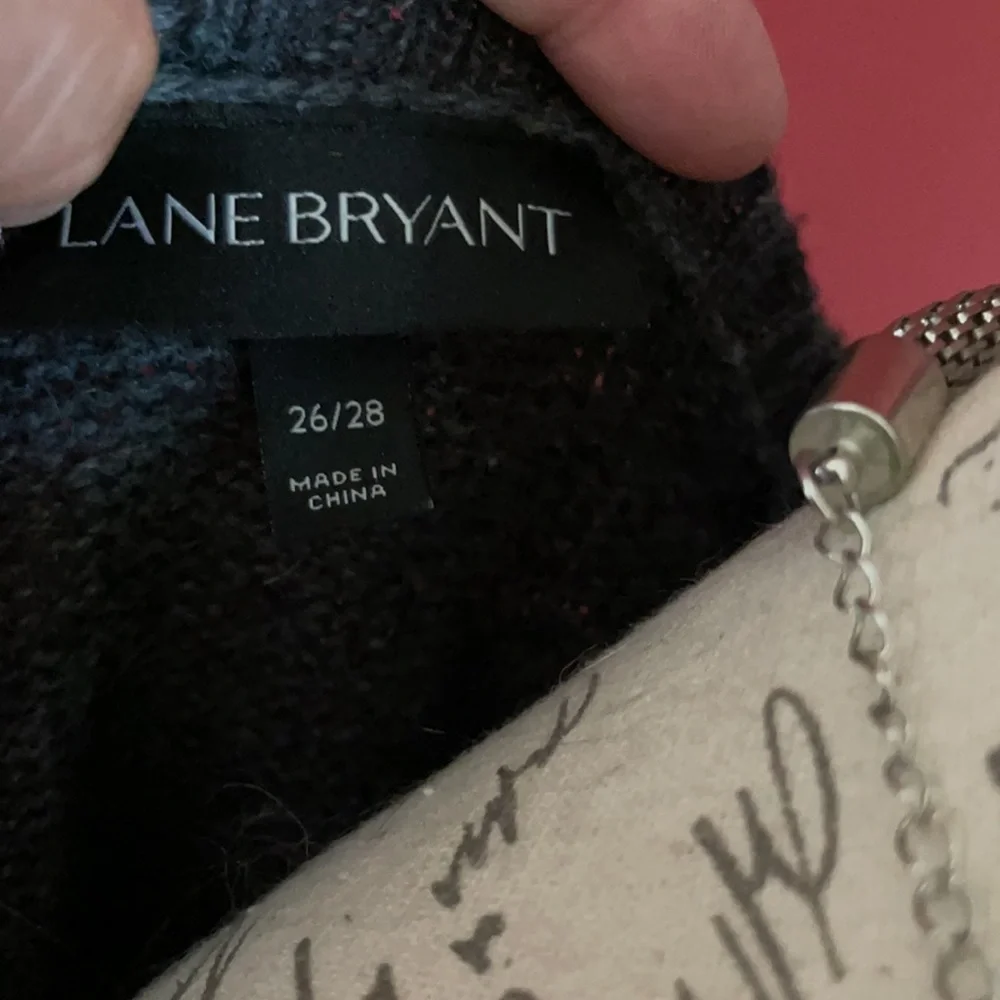 Lane Bryant- Gray sweater with flower embellishments round the neck.